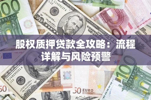 北京股权质押贷款全攻略：流程详解与风险预警