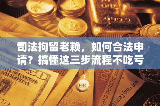 北京司法拘留老赖，如何合法申请？搞懂这三步流程不吃亏！