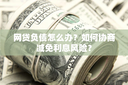 北京网贷负债怎么办？如何协商减免利息风险？