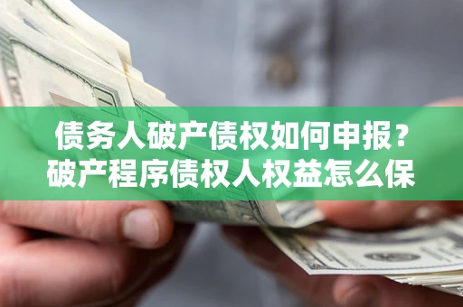 北京债务人破产债权如何申报？破产程序债权人权益怎么保障？