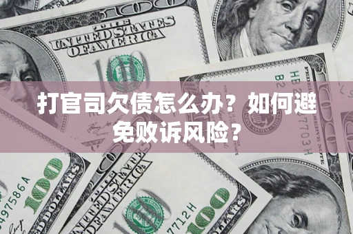 北京打官司欠债怎么办？如何避免败诉风险？