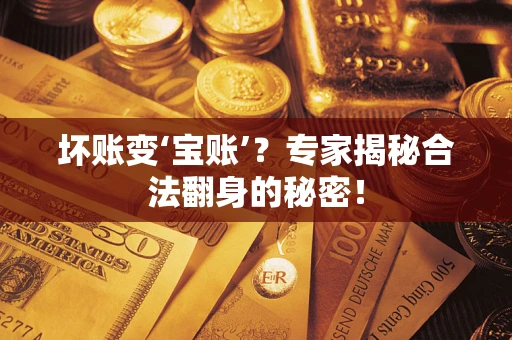 北京坏账变‘宝账’？专家揭秘合法翻身的秘密！