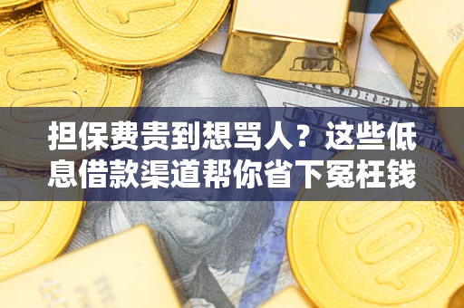 北京担保费贵到想骂人？这些低息借款渠道帮你省下冤枉钱