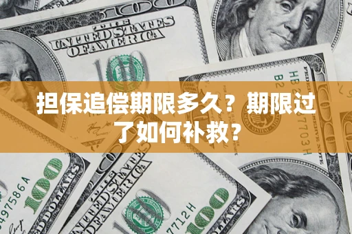 北京担保追偿期限多久？期限过了如何补救？
