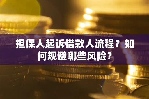 北京担保人起诉借款人流程？如何规避哪些风险？