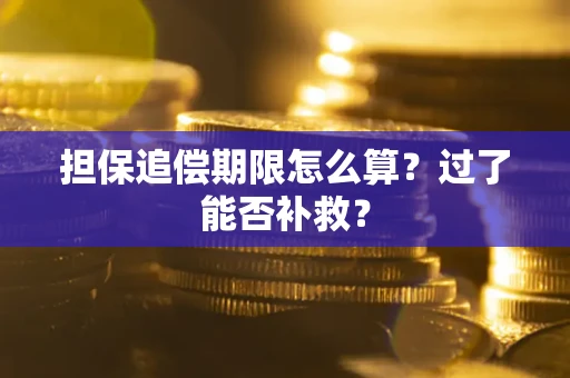 北京担保追偿期限怎么算？过了能否补救？